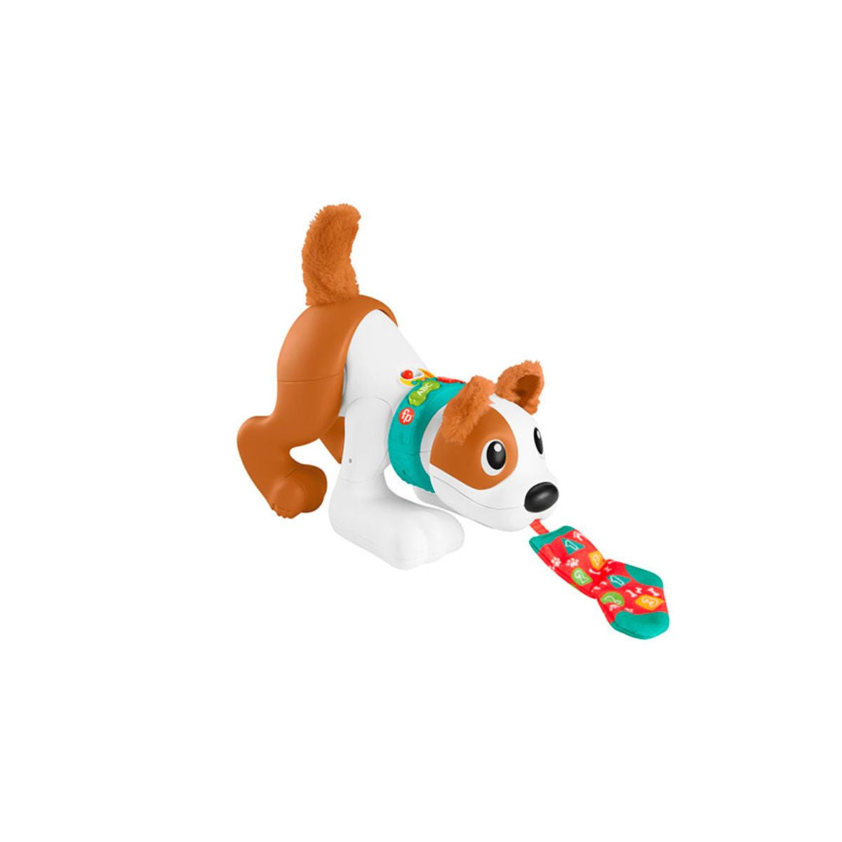 Cachorro Gatea Conmigo