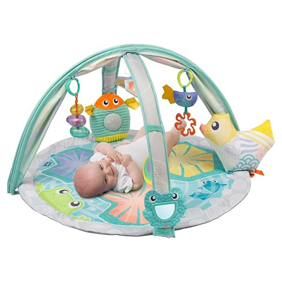 Gimnasio Con Sensor De Luz