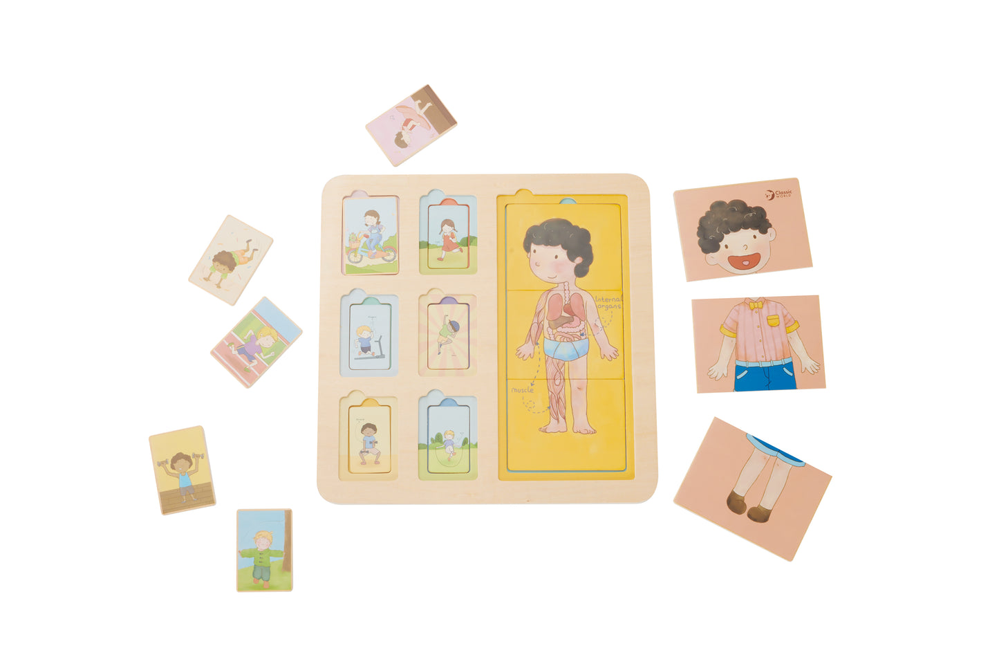 Rompecabezas Body Puzzle 12M+