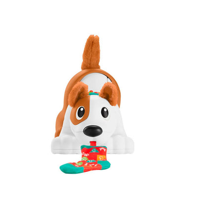 Cachorro Gatea Conmigo