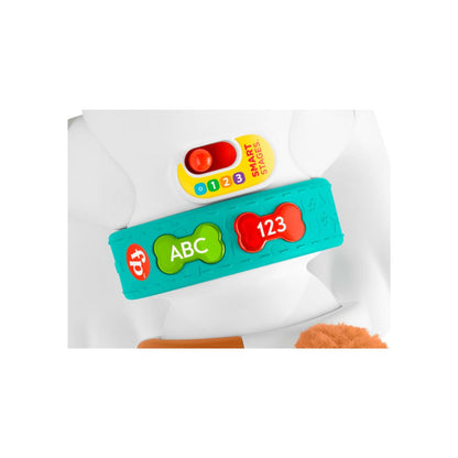 Cachorro Gatea Conmigo