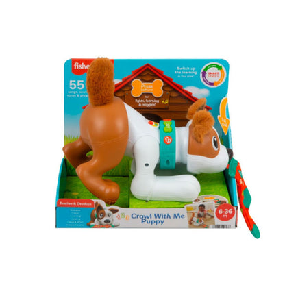 Cachorro Gatea Conmigo