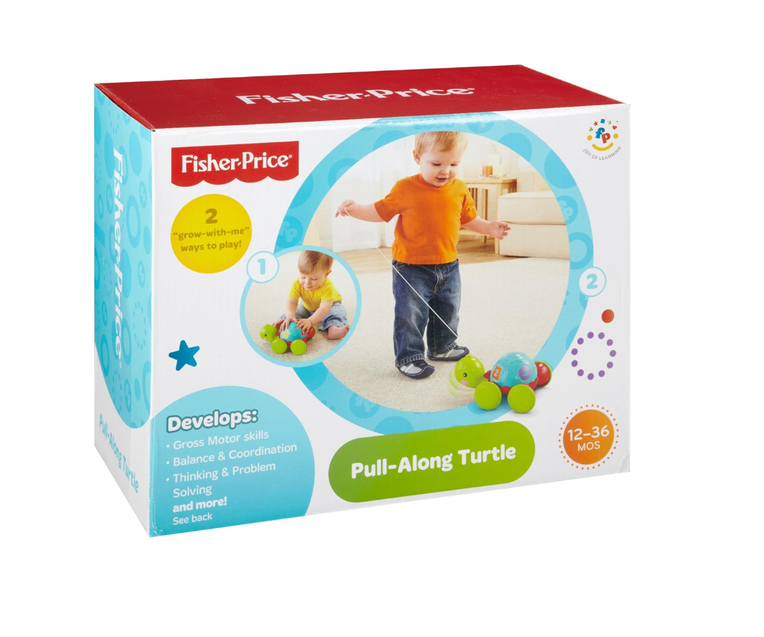 Tortuga de Aprendizaje