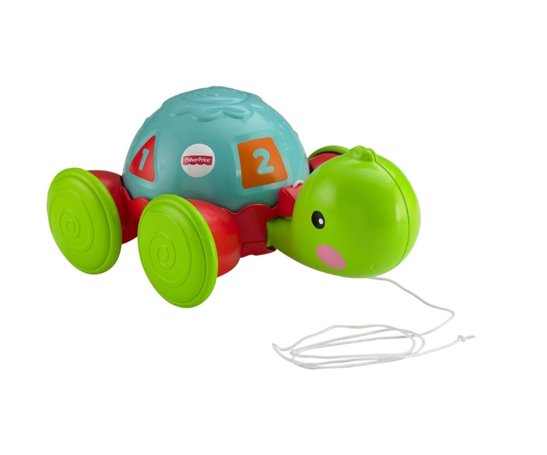 Tortuga de Aprendizaje