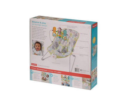 Baucer Basico Fisher Price