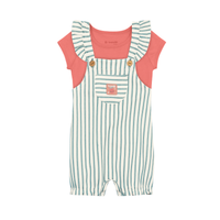 Blusa Y Jardinera Nena | Rayas Brandili