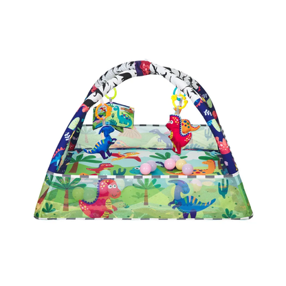 Gimnasio Con 18 Pelotas Dino Forest | Kikkaboo