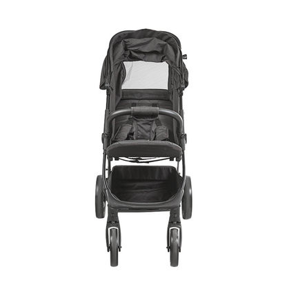 Coche Liviano Bögen Born Dlx