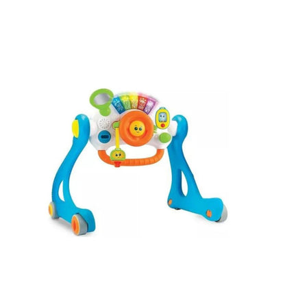 Gimnasio 5 En 1 Winfun