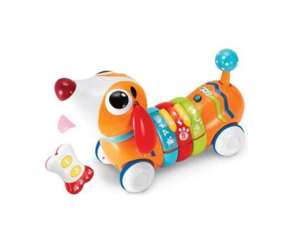 Perrito Radio Control Winfun