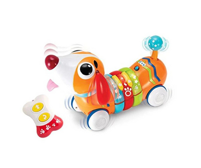 Perrito Radio Control Winfun