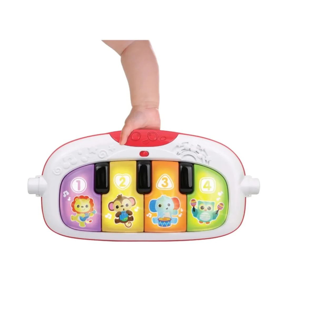 Gimnasio musical amigos de la selva