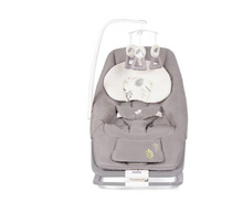 Bouncer Dreamer Fern Musical