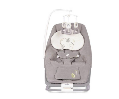 Bouncer Dreamer Fern Musical