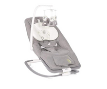 Bouncer Dreamer Fern Musical