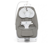 Columpio Dreamer - Starry Night Joie