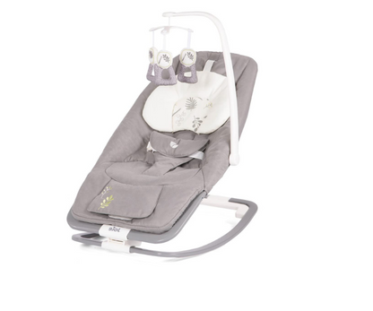 Bouncer Dreamer Leo Joie