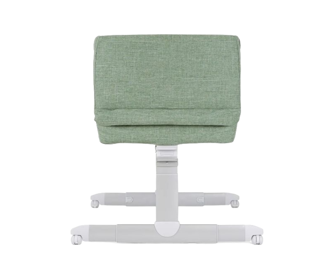 Colecho Roomie Go Laurel Joie