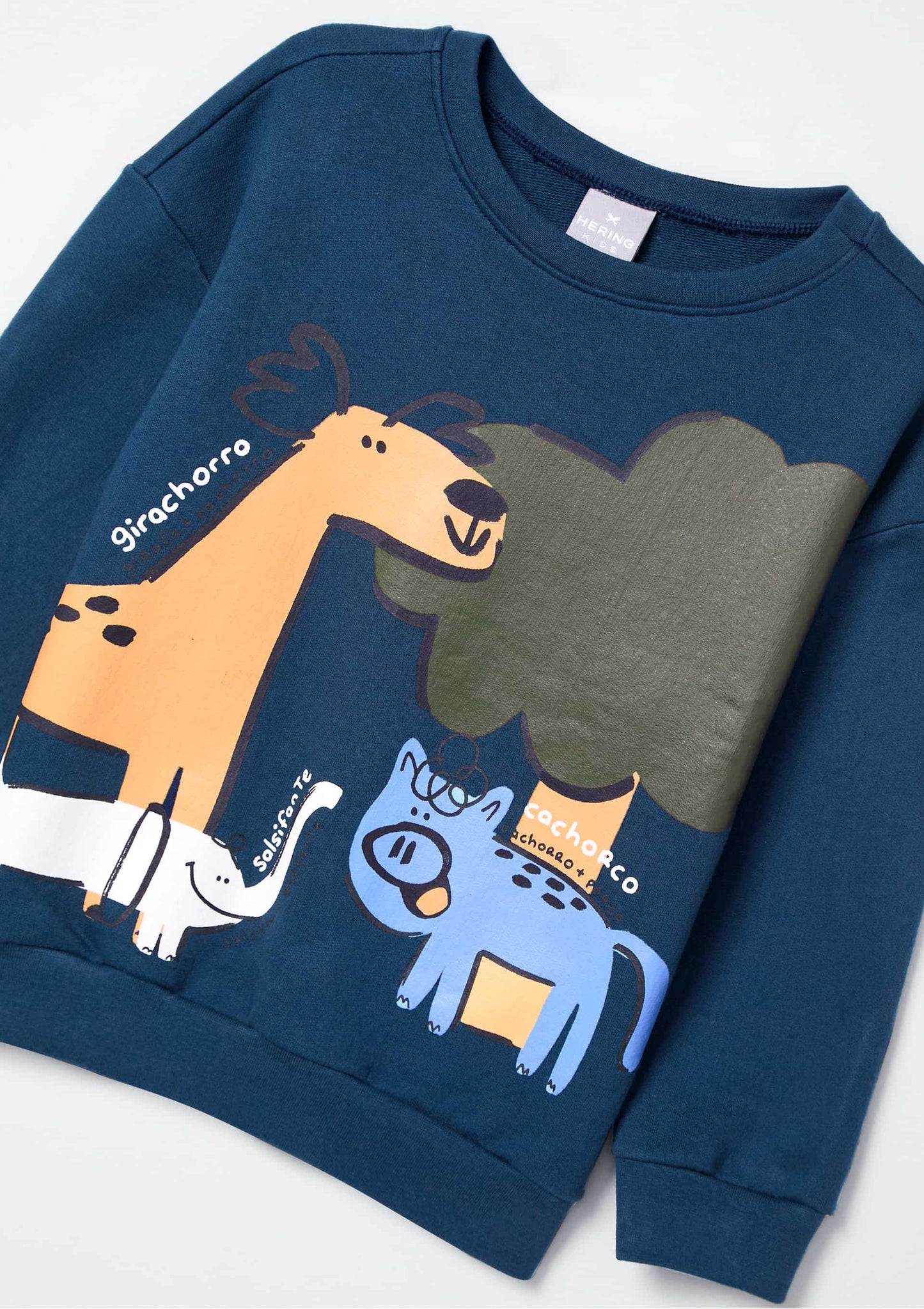 Conjunto de Buzo y pantalón para niño