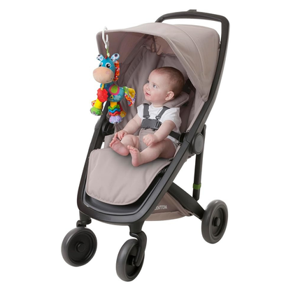 Set de Regalo Juguete entretenedor Clip Clop