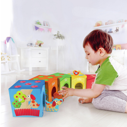 Torre Friendship Hape