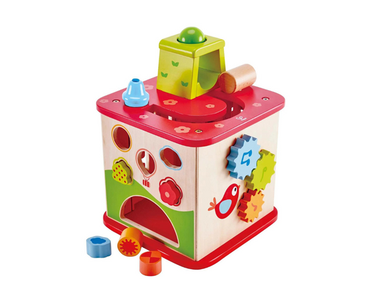 Cubo De Actividades Friendship  Hape