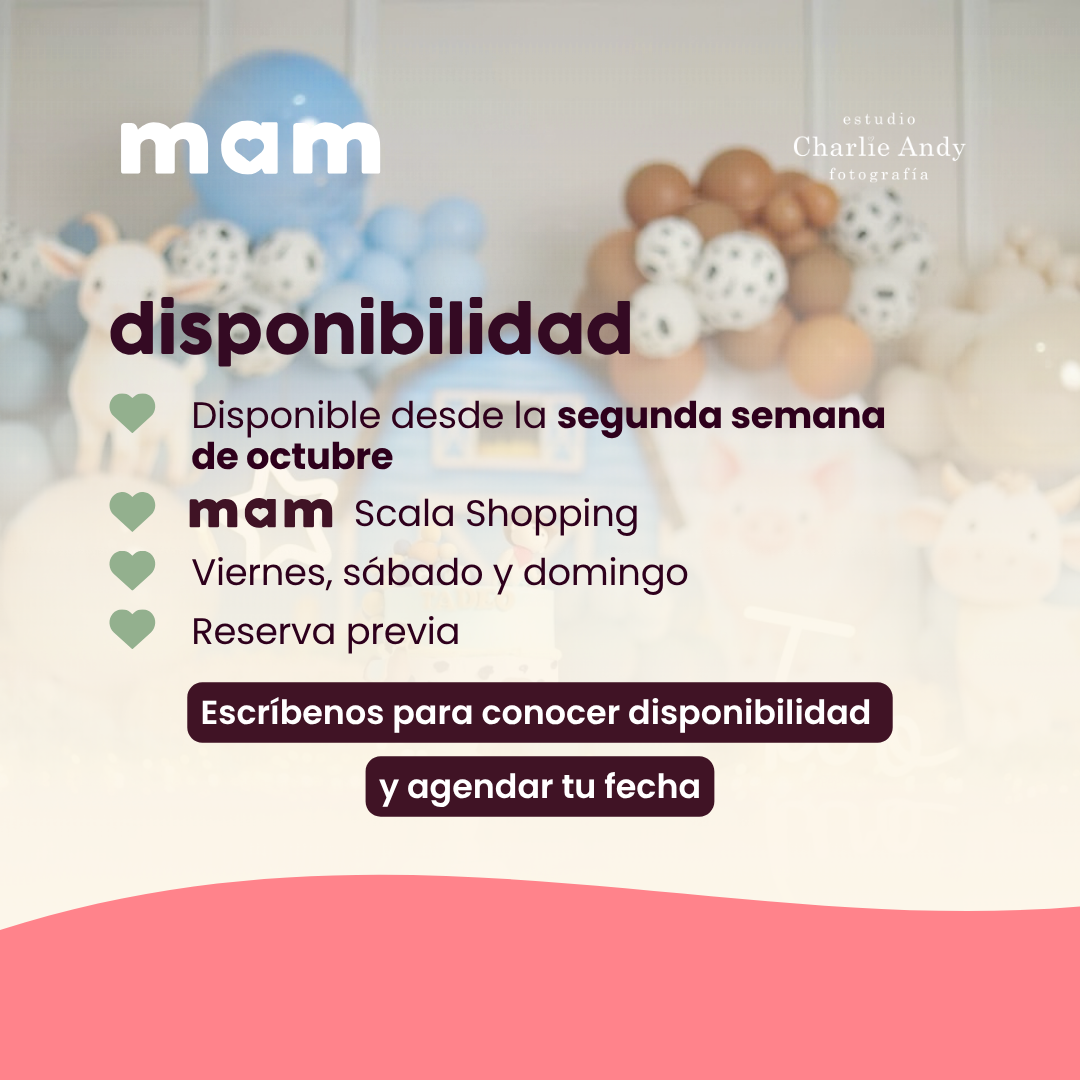 Smash Cake Vivencial en MAM Scala