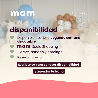 Smash Cake Vivencial en MAM Scala