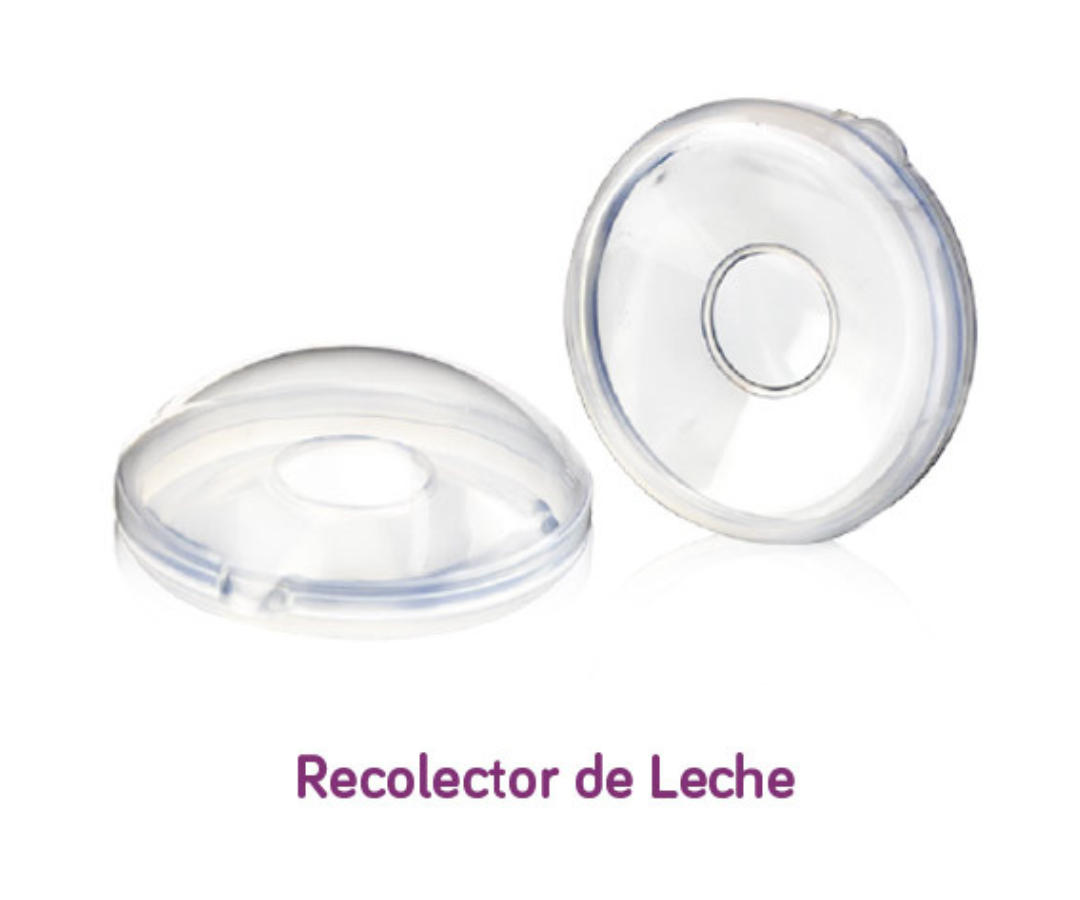 Set Begin Completo De Lactancia