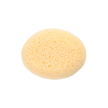 Esponja de Baño
