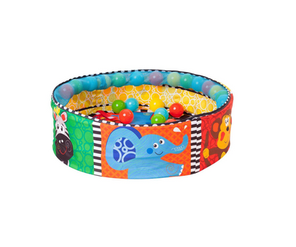 Gimnasio Con Pelotas