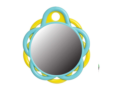 Gimnasio Con Pelotas