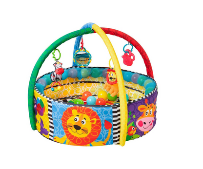 Gimnasio Con Pelotas