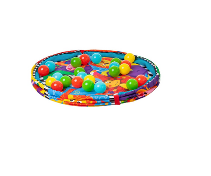 Gimnasio Con Pelotas