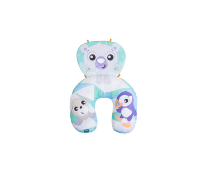 Almohada de actividades polar