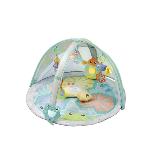 Gimnasio Con Sensor De Luz