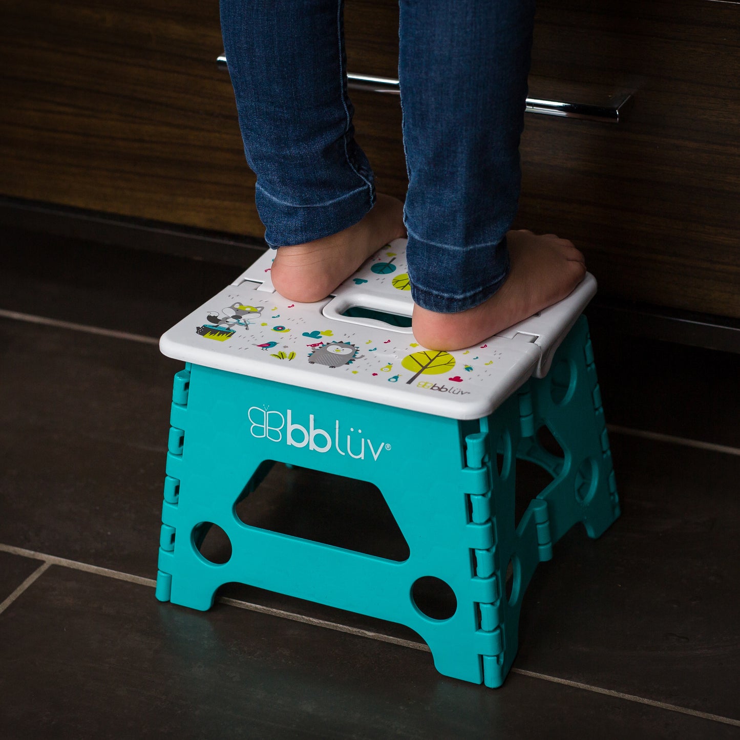 Banquito Plegable Step
