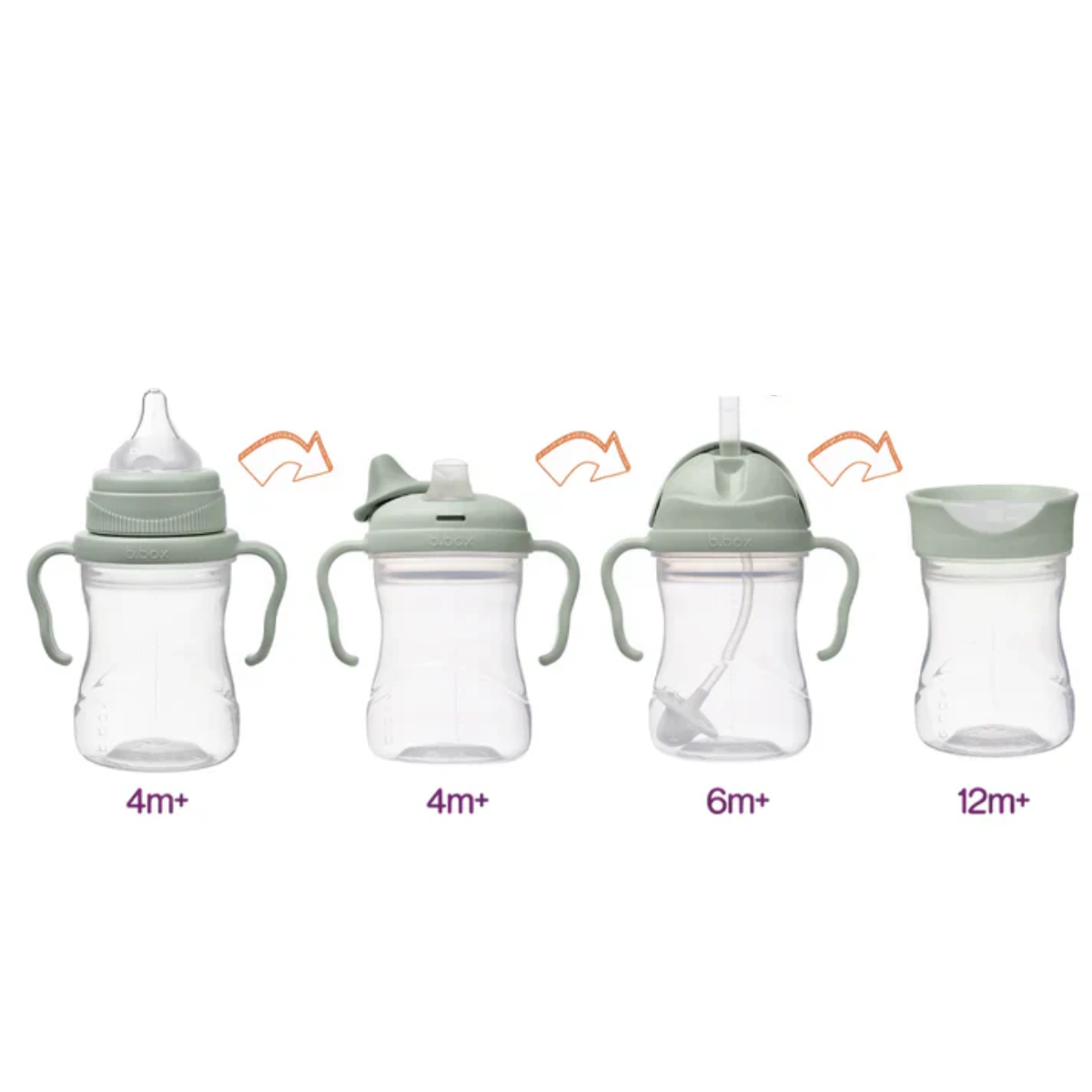 Vaso Transicion 4 En 1 | Sage BBOX