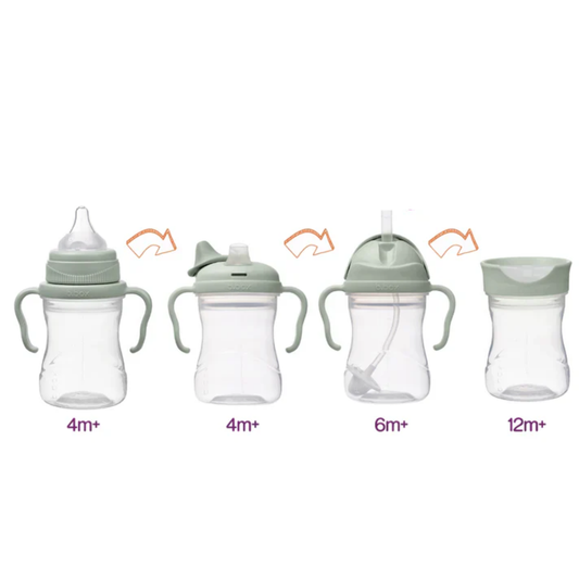 Vaso Transicion 4 En 1 | Sage BBOX