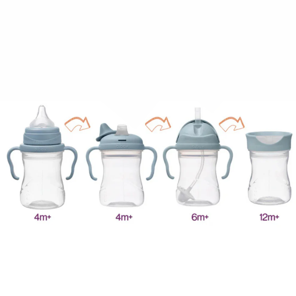 Vaso Transicion 4 En 1 | Ocean BBOX