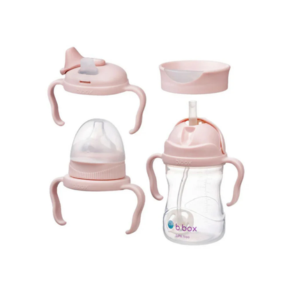 Vaso Transicion 4 En 1 | Blush BBOX