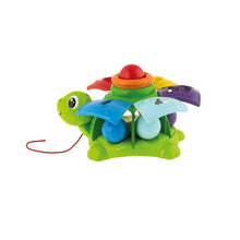 Tortuga Sorpresas