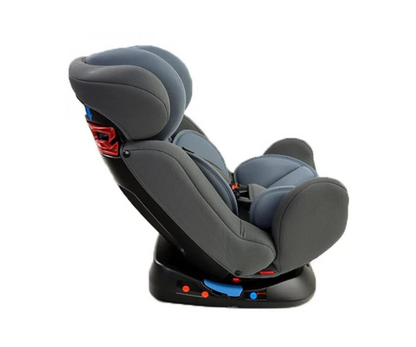 Asiento De Auto | Beta Gray Born