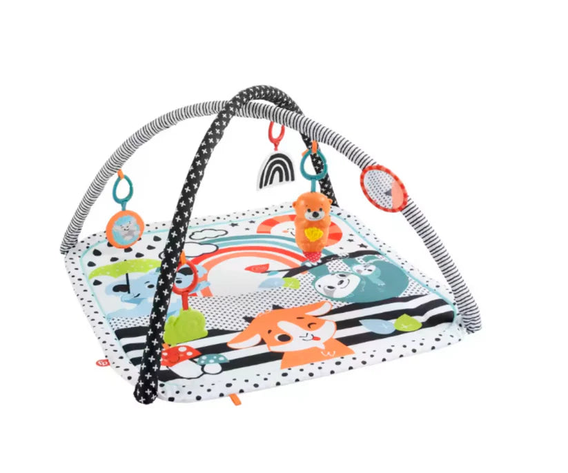 Gimnasio De Actividades Musicales 3 en 1 Fisher Price