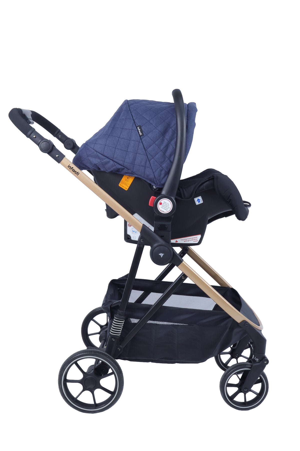 Coche Padua 2g TS | Blue - Infanti