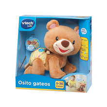 Osito Gateos | Marro Oscuro