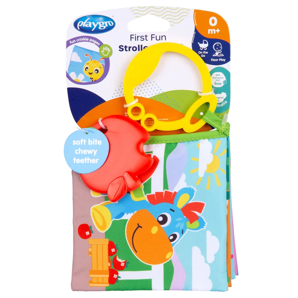 Libro Para Coche First Fun