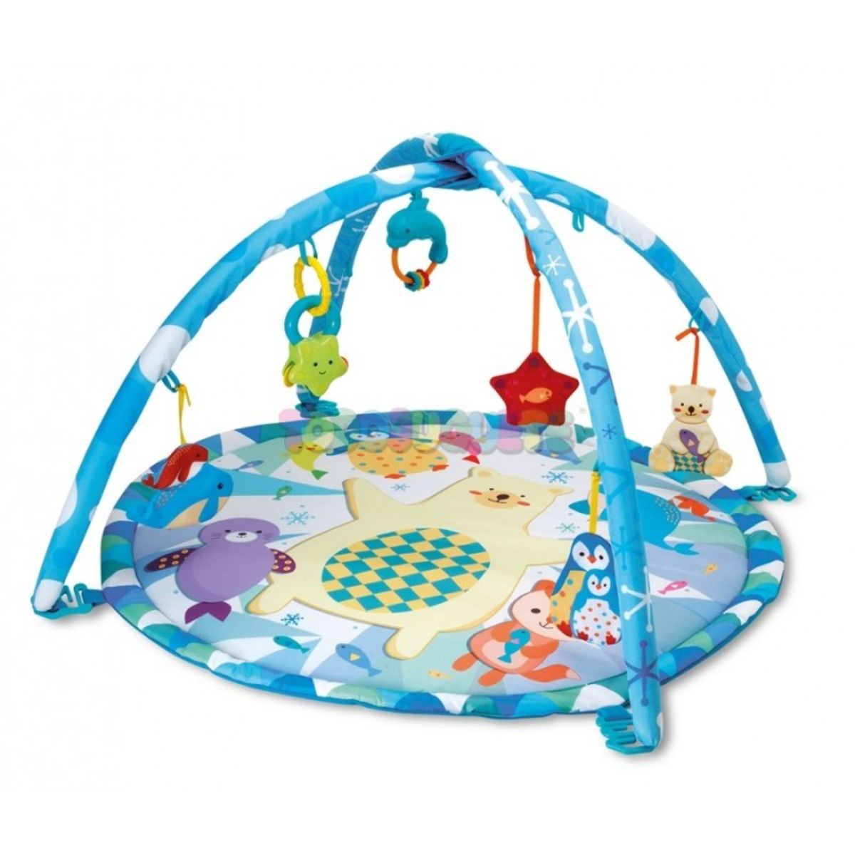 Gimnasio Fiesta Polar Winfun
