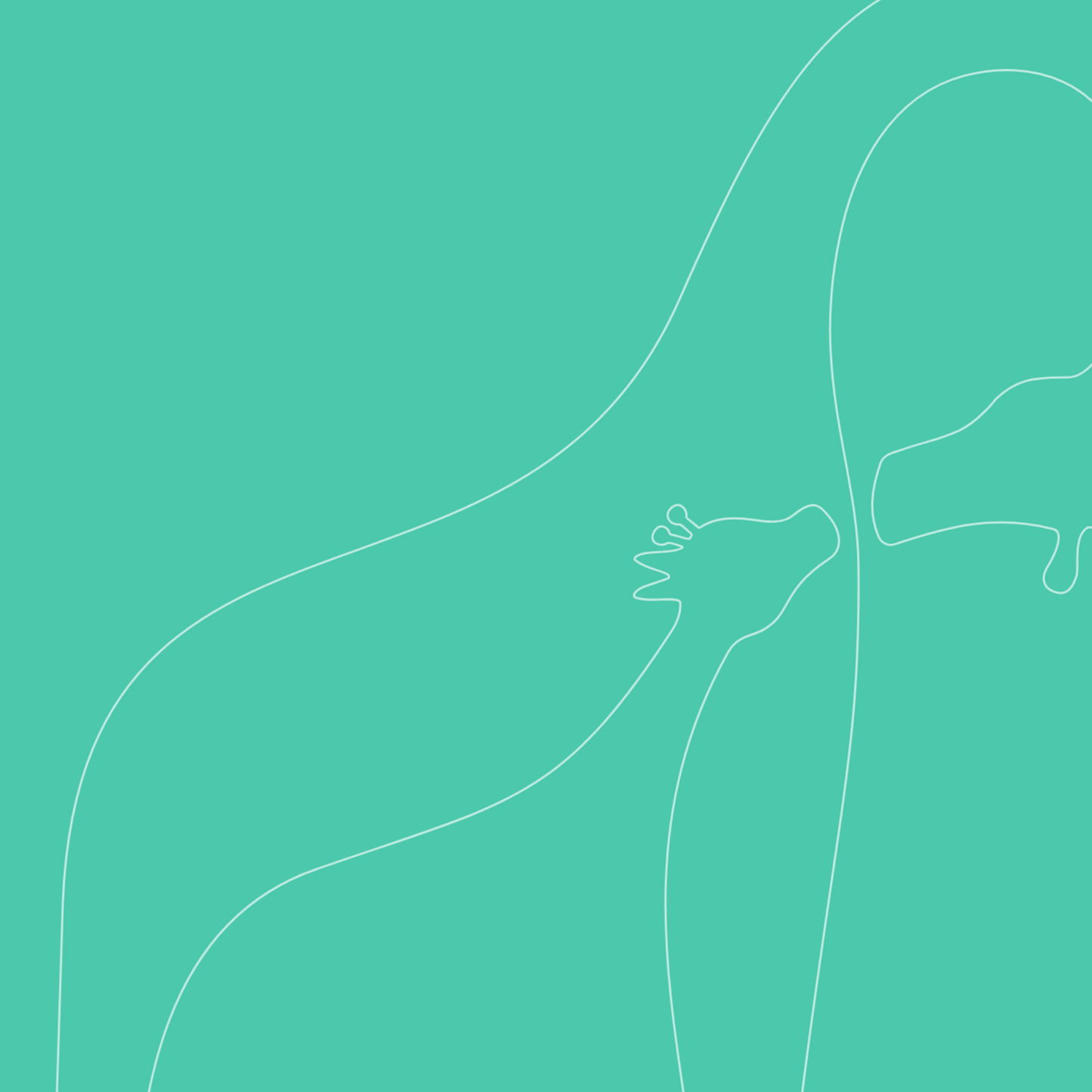 Born coche zeal travel system arianna