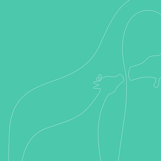 Born coche zeal travel system arianna